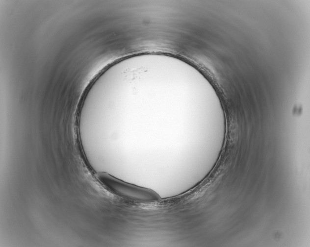 X0000093621182200711051233