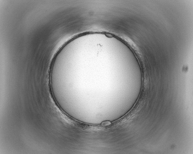 X0000093621183200711051233