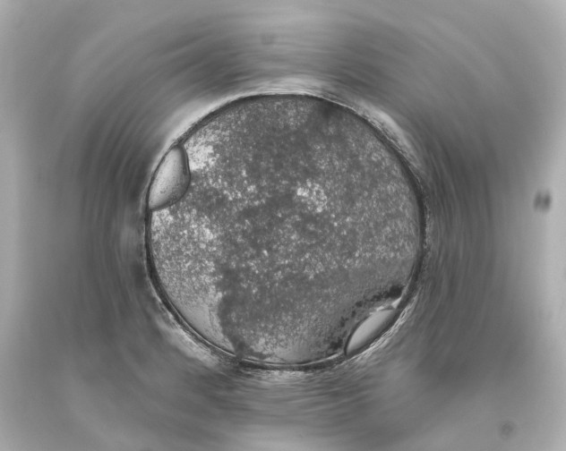 X0000093621184200711051233