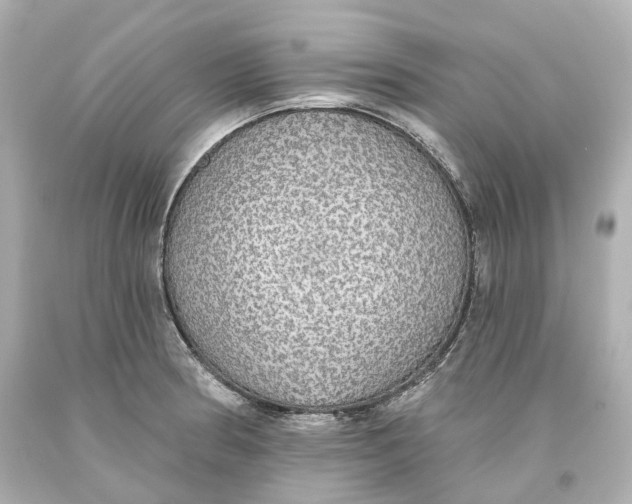 X0000093621186200711051233