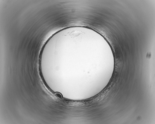 X0000093621187200711051233