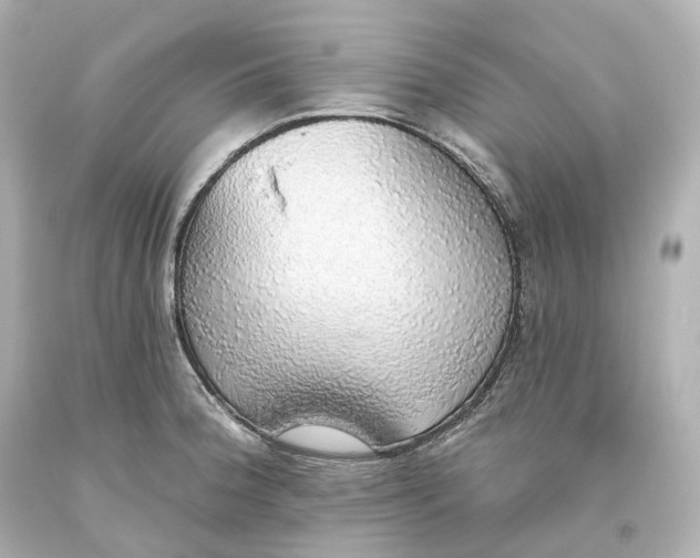 X0000093621188200711051233