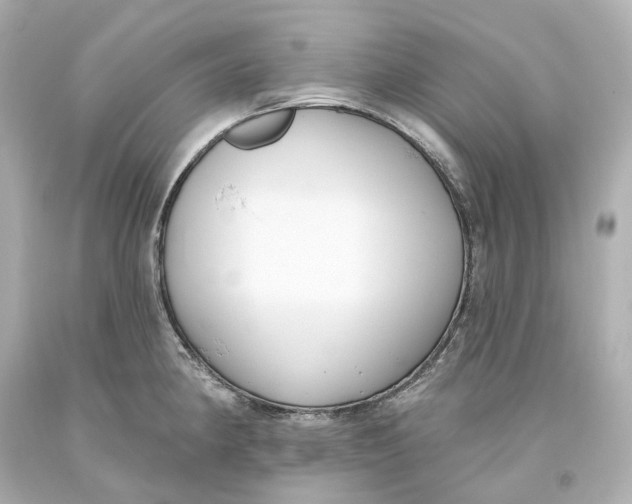 X0000093621190200711051233