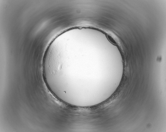 X0000093621191200711051233