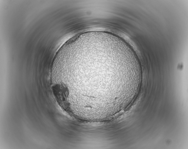 X0000093621193200711051233
