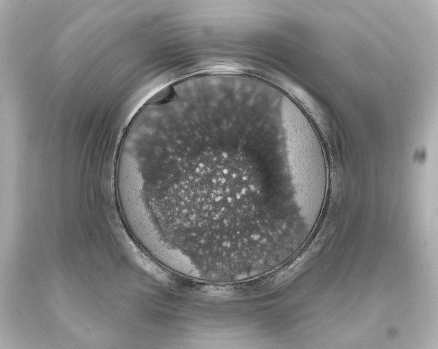 X0000093621194200711051233