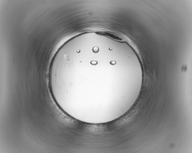 X0000093621195200711051233