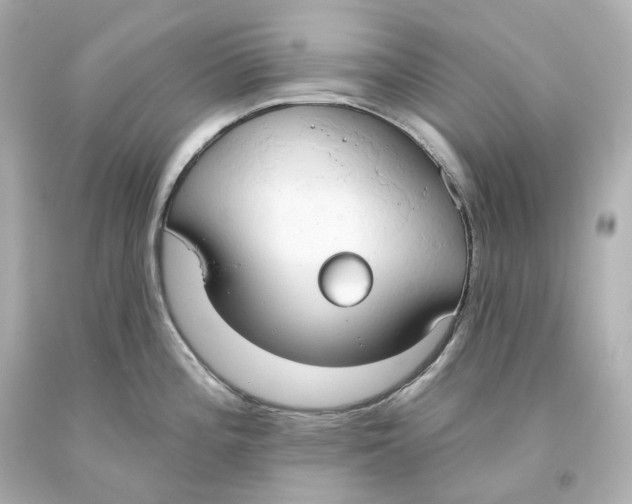 X0000093621196200711051233