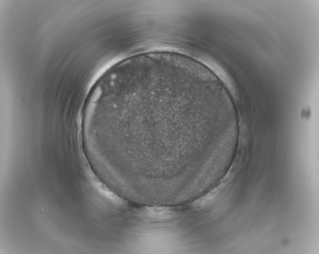 X0000093621198200711051233