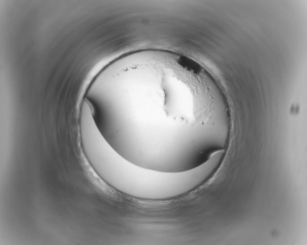X0000093621200200711051233