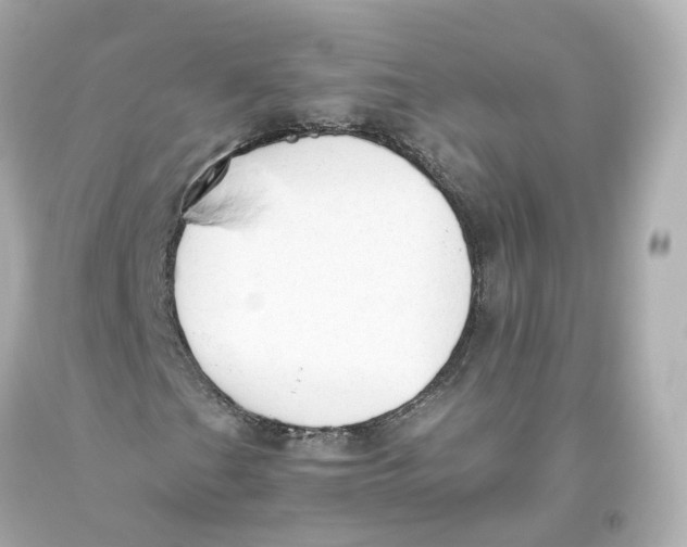 X0000093621201200711051232