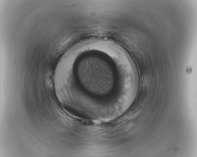 X0000093621202200711051232