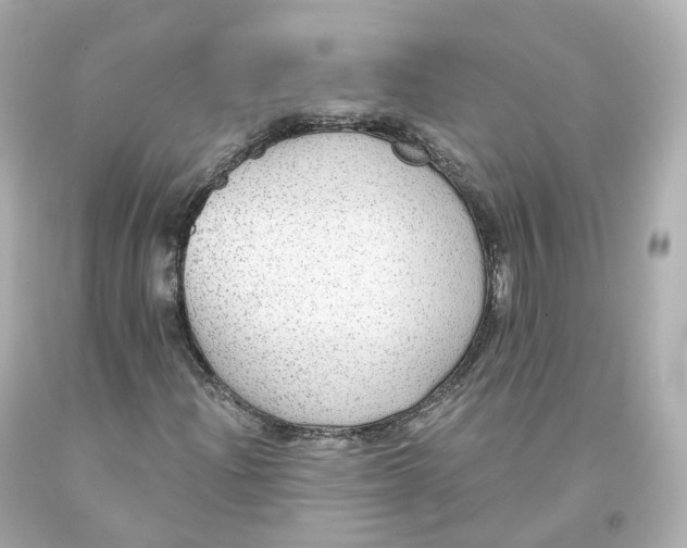 X0000093621204200711051232