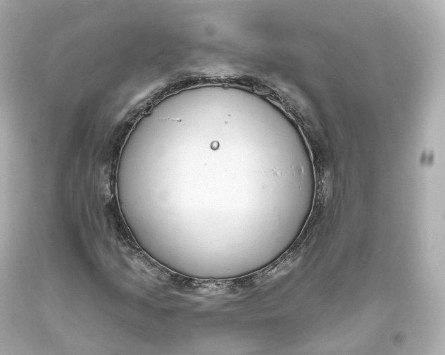 X0000093621205200711051232