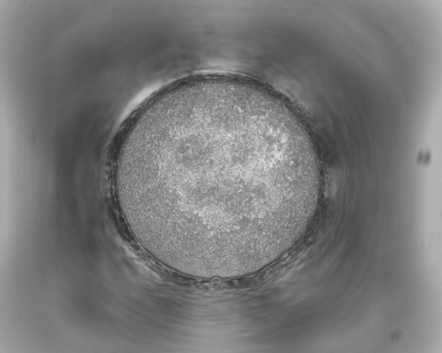 X0000093621208200711051232