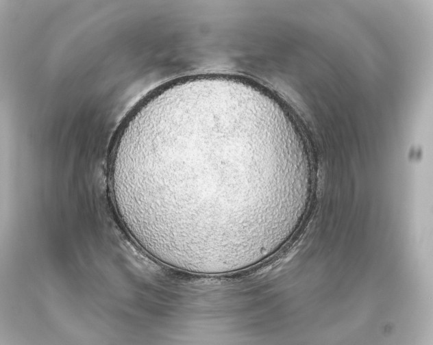 X0000093621212200711051232