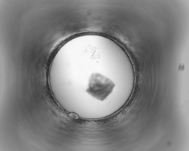 X0000093621214200711051232