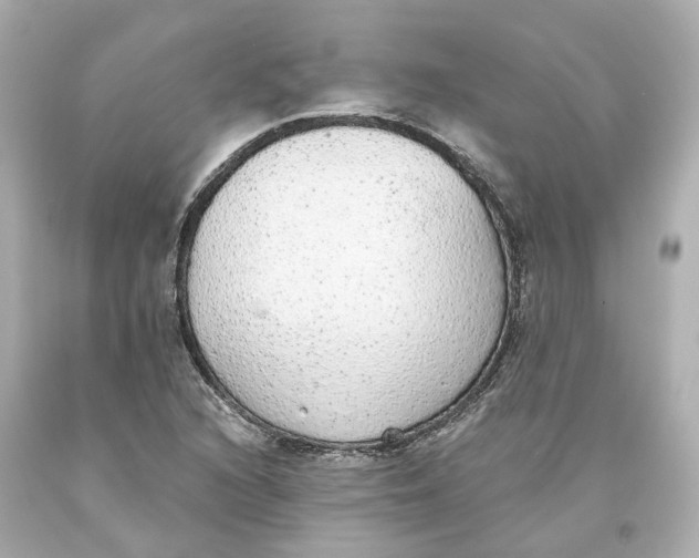 X0000093621216200711051232