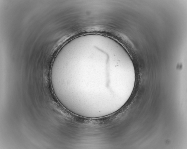 X0000093621217200711051232