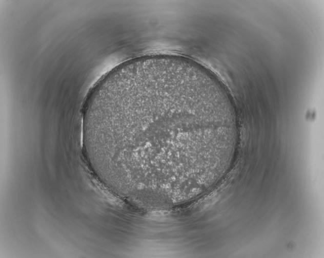 X0000093621219200711051232