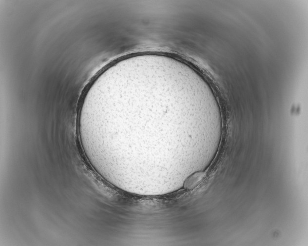 X0000093621220200711051232