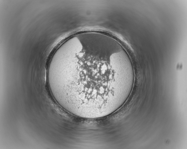 X0000093621221200711051232