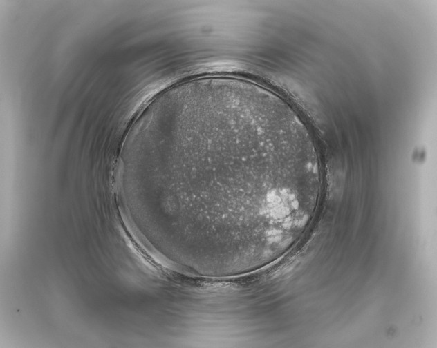 X0000093621225200711051233