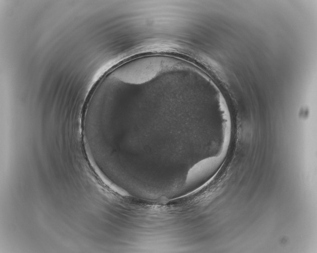 X0000093621226200711051233