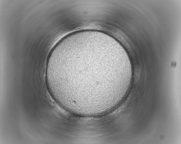 X0000093621228200711051233