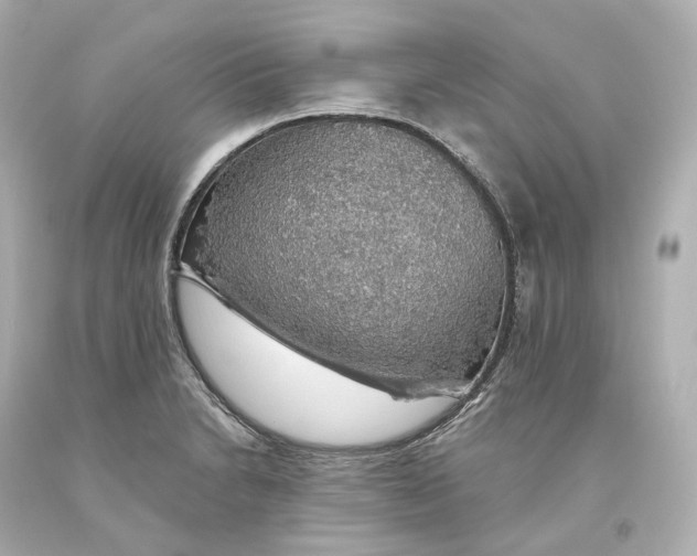 X0000093621230200711051233