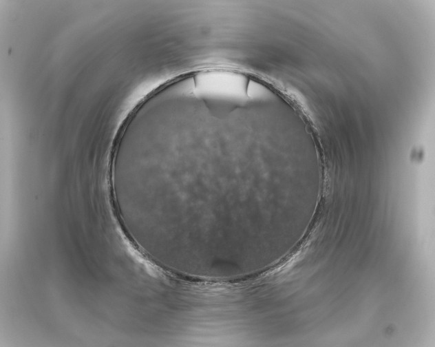 X0000093621231200711051233