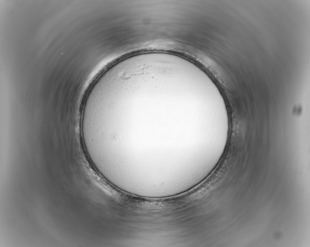 X0000093621232200711051233