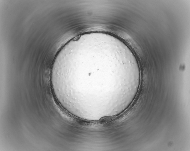 X0000093621233200711051233
