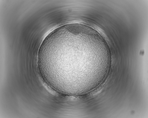 X0000093621234200711051233