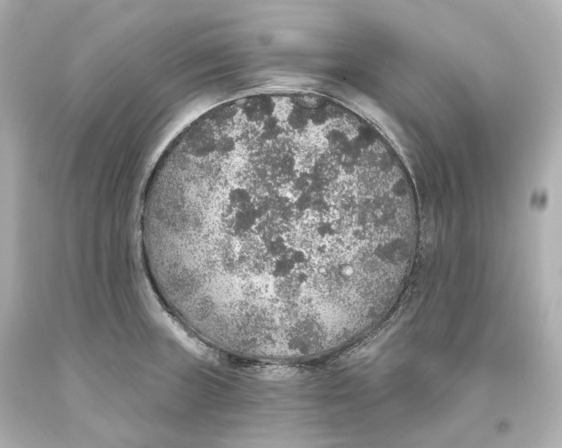 X0000093621235200711051233