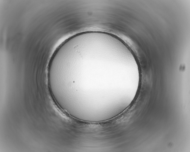 X0000093621238200711051233