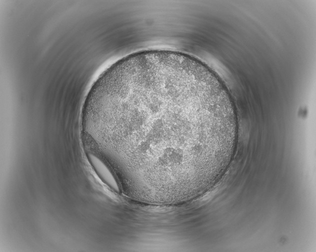 X0000093621240200711051233