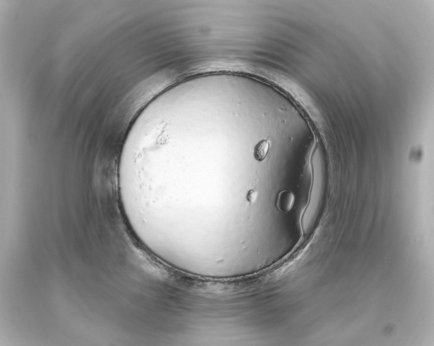 X0000093621241200711051233
