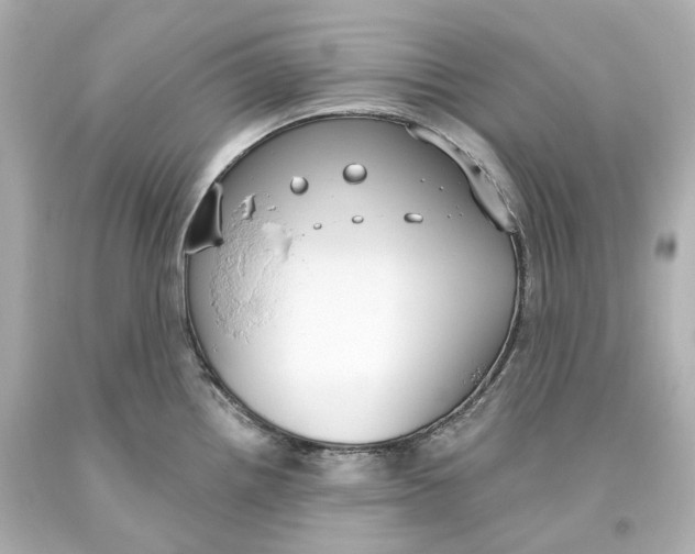 X0000093621242200711051233