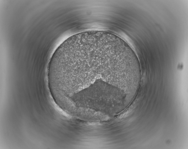 X0000093621243200711051233