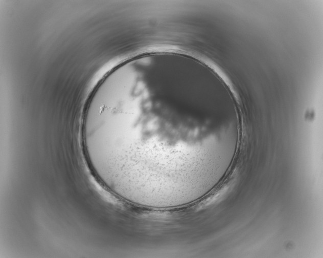 X0000093621245200711051233