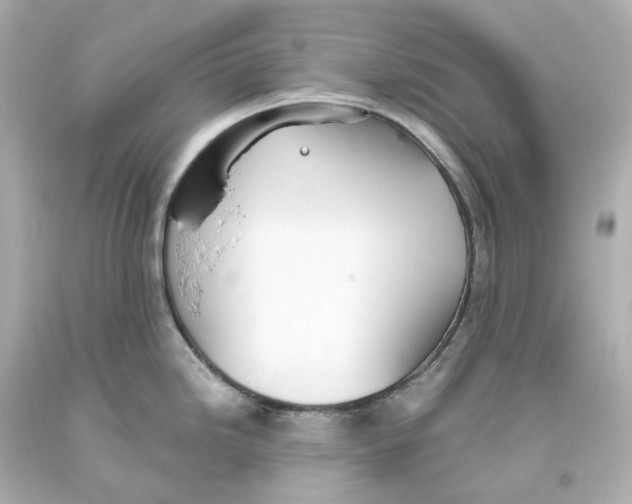 X0000093621246200711051233