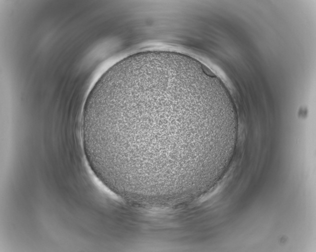 X0000093621247200711051233