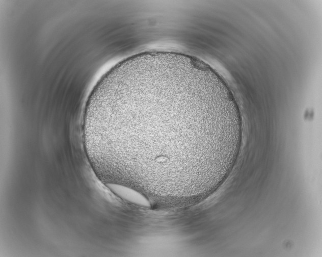 X0000093621248200711051233