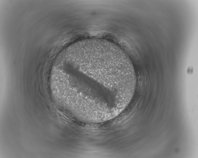 X0000093621249200711051232