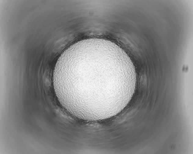 X0000093621250200711051232