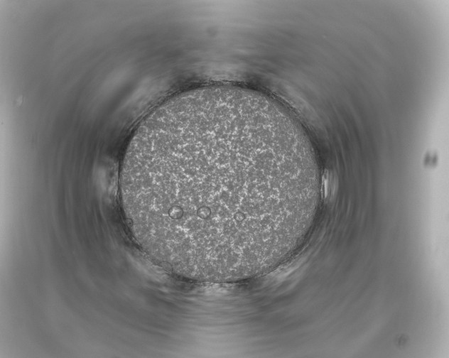 X0000093621251200711051232
