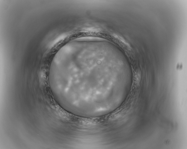 X0000093621254200711051232