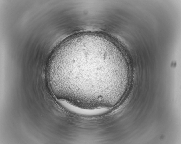 X0000093621257200711051232