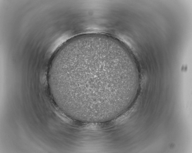 X0000093621259200711051232